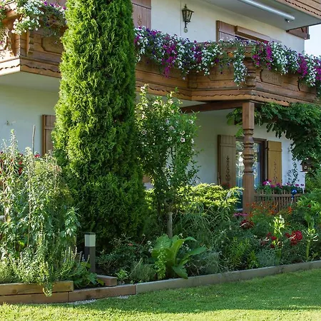 住宿加早餐酒店 海迪宾馆